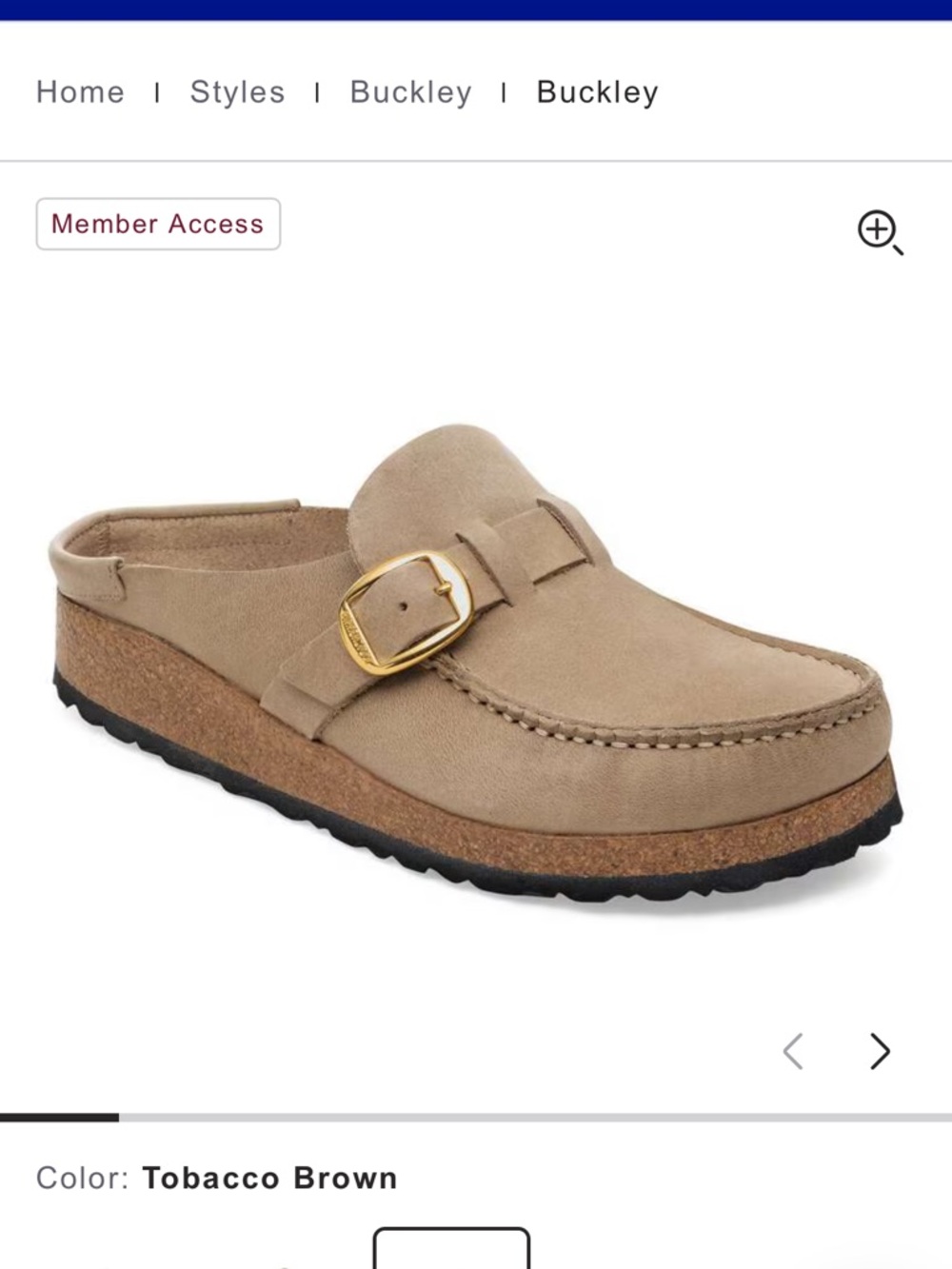 Buckle Buckley Oiled Leather Clog Mule in Tobacco Brown with Gold Buckle